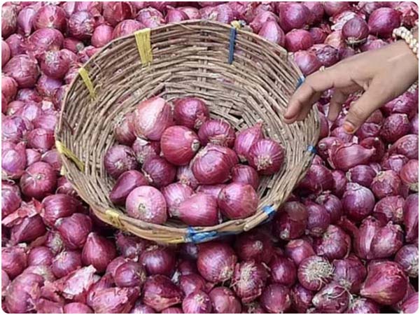 Onion Price