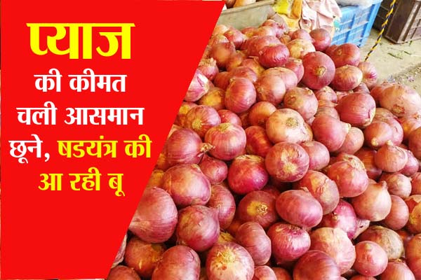 Onion Price