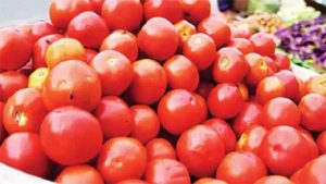 Tomato Price